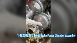 1482508370 8981456801 8-98145680-1 1-48250837-0 ISUZU এর জন্য ফ্রন্ট ব্রেক পাওয়ার চেম্বার সমাবেশ