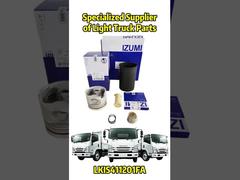ISUZU/Mitsubishi/HINO/JAC/NISSAN/TOYOTA-এর জন্য OEM রিপ্লেসমেন্ট পার্ট