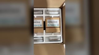 বসন্ত bushin পিছনে